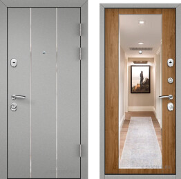 Дверь входная с зеркалом на дачу порошковая — МДФ